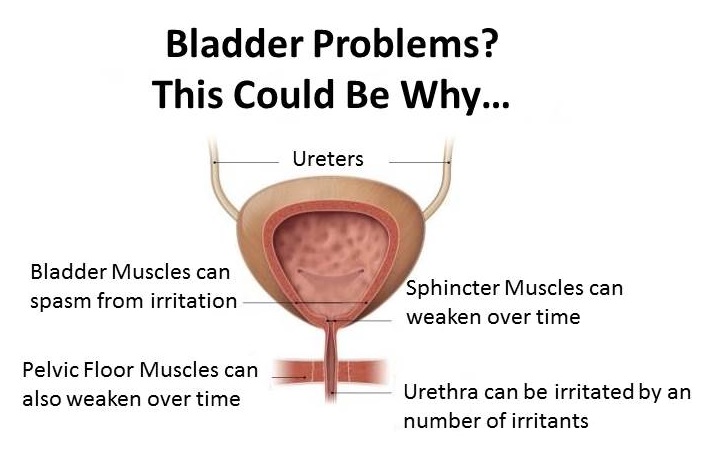 Men With Bladder Problems 14
